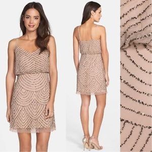 Adrianna Papell Sequin Mesh Blouson Dress Sz 4 ⭐️